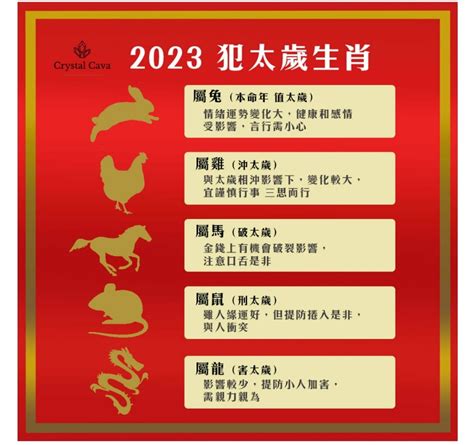 屬豬2023犯太歲